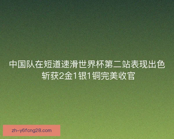 中国队在短道速滑世界杯第二站表现出色 斩获2金1银1铜完美收官