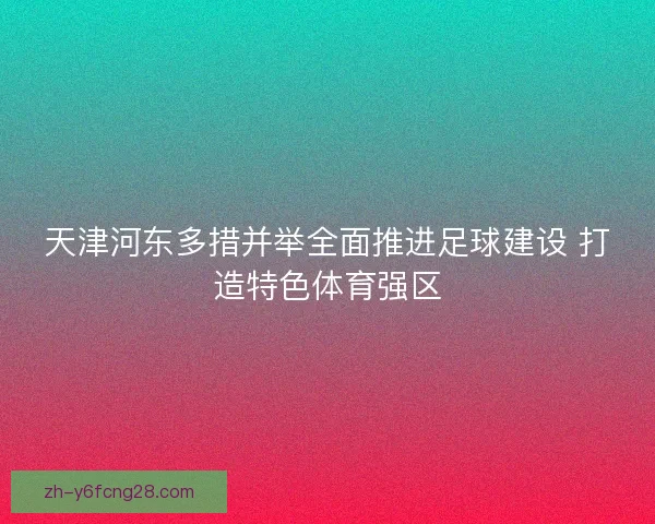 天津河东多措并举全面推进足球建设 打造特色体育强区