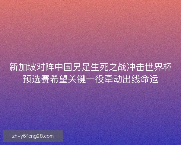 新加坡对阵中国男足生死之战冲击世界杯预选赛希望关键一役牵动出线命运